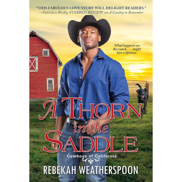 cowboy romance books