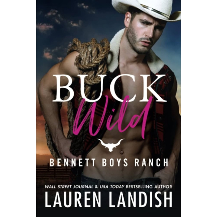 cowboy romance books