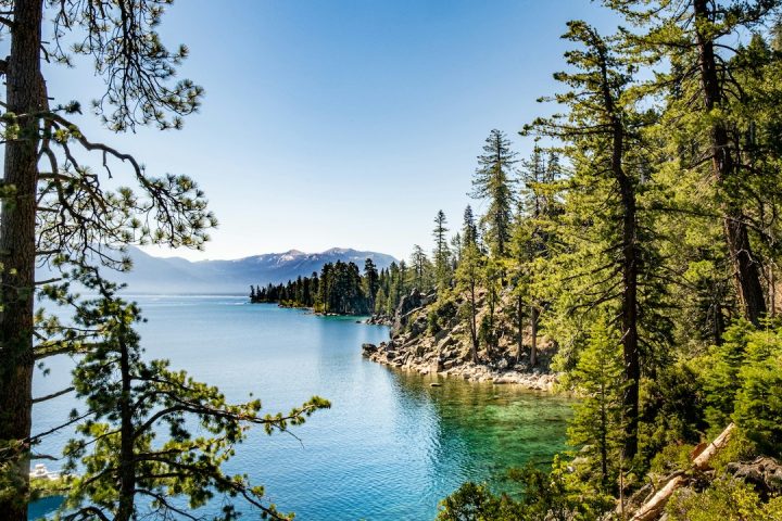 spring trip ideas