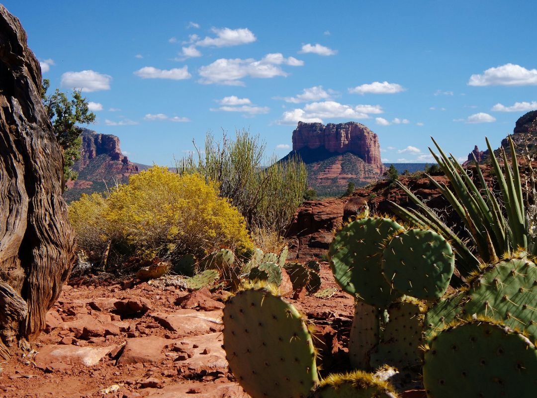 spring trip ideas sedona arizona