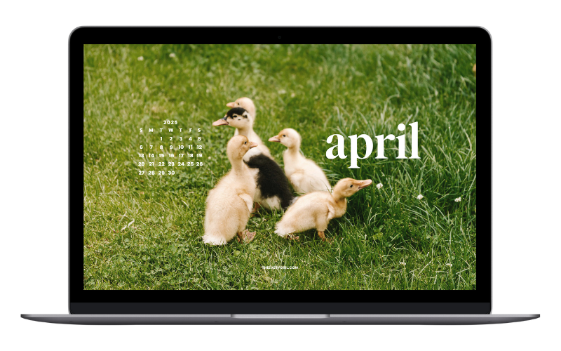 tech background april