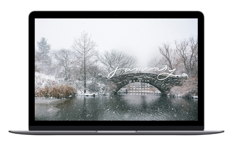 tech backgrounds